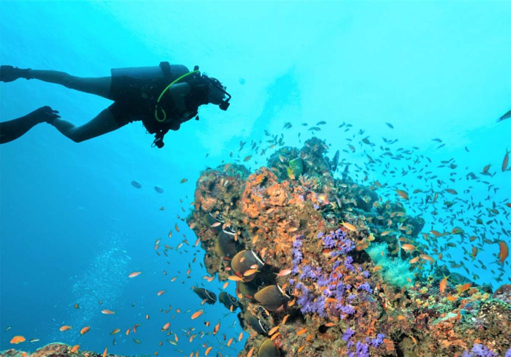 Discovering the Underwater Wonderland: A Comprehensive Snorkeling Guide to Maldives